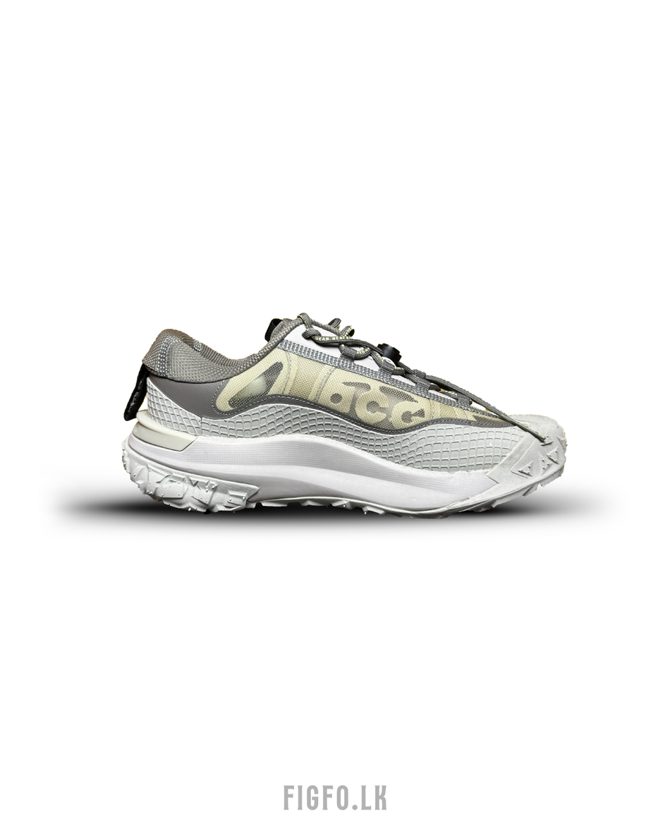 Nike ACG Mountain Fly 2 Low "Iron Ore"
